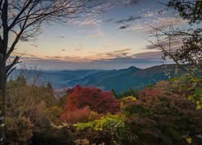 Silent Japan