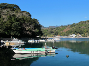 Silent Japan